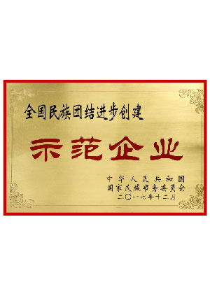 民族團結示范企業
